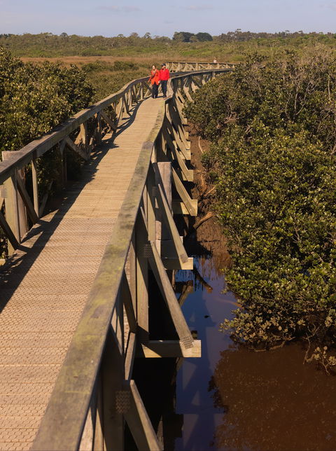 Warringine Park & Bittern Coastal Wetlands Boardwalk - Accommodation VIC 0