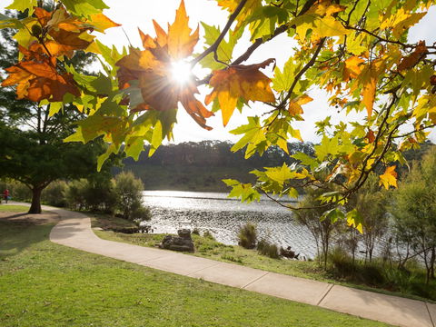 Wentworth Falls Lake - Accommodation VIC 0