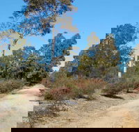 Werakata National Park - Accommodation VIC