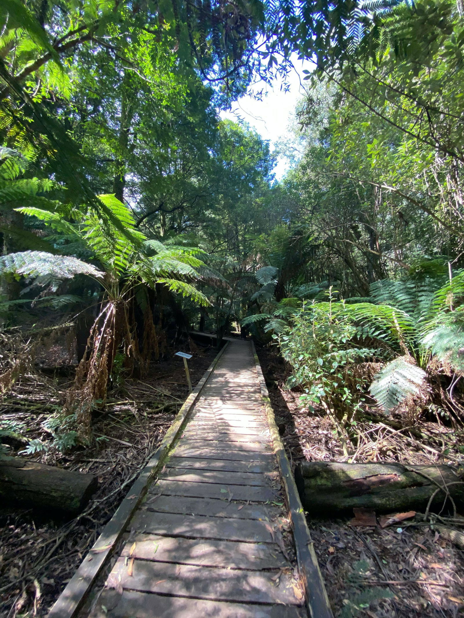 Toolangi VIC Accommodation VIC