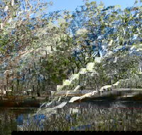 Wongi State Forest - Accommodation VIC