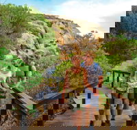 Woody Island Nature Reserve - Accommodation VIC