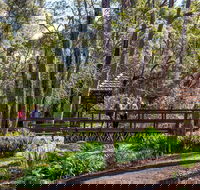 Armadale - Accommodation VIC