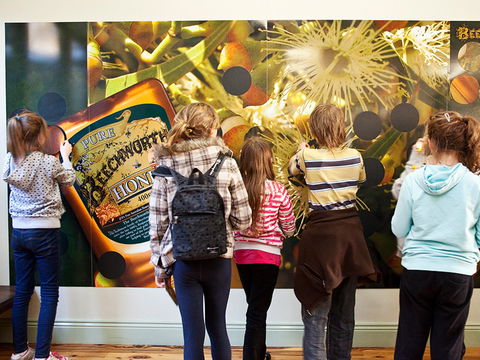 Beechworth Honey Shop - Accommodation VIC 2
