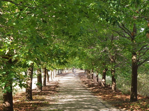 Beechworth To Everton Station 16km - Accommodation VIC 1
