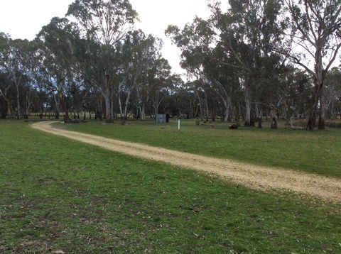 Black Cockatoo Bush Camp - Accommodation VIC 2