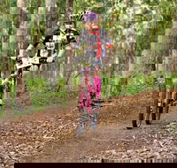 Bom Bom State Forest Mountain Bike Trails - Accommodation VIC