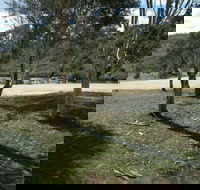 Bombala Platypus Reserve - Accommodation VIC