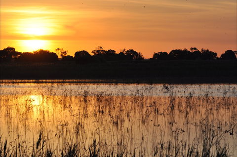 Bool Lagoon Game Reserve And Hacks Lagoon Conservation Park - Accommodation VIC 0