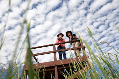 Bool Lagoon Game Reserve And Hacks Lagoon Conservation Park - Accommodation VIC 1