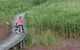 Bool Lagoon Game Reserve And Hacks Lagoon Conservation Park - thumb 2