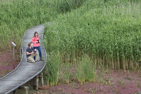 Bool Lagoon Game Reserve And Hacks Lagoon Conservation Park - Accommodation VIC 2