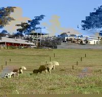 Calmsley Hill City Farm - Accommodation VIC