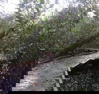 Carole Green Walkway - John Oxley Reserve - Accommodation VIC