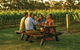 Denmark Food And  Wine Trail - thumb 2