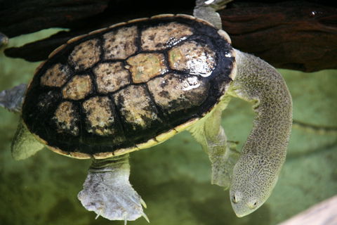 Discover Deadly - Accommodation VIC 1