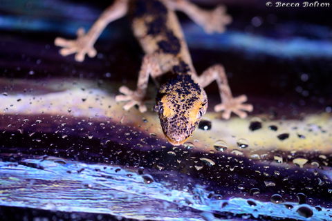 Discover Deadly - Accommodation VIC 2