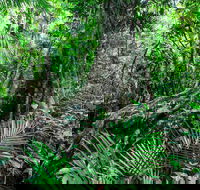 Djiru National Park - Accommodation VIC