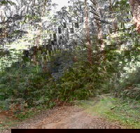 End Peak walking track - Accommodation VIC