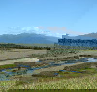 Eubenangee Swamp National Park - Accommodation VIC