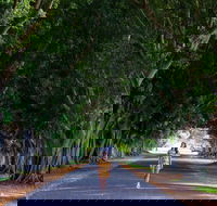 Fig Tree Avenue - Accommodation VIC