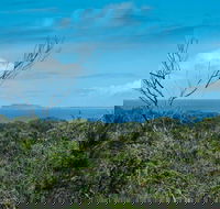 Forest Walking Track Crowdy Bay National Park - Accommodation VIC