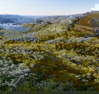 Gold Coast Hinterland Great Walk - Accommodation VIC