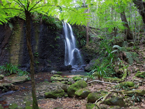 Gold Coast Hinterland Great Walk - Accommodation VIC 1