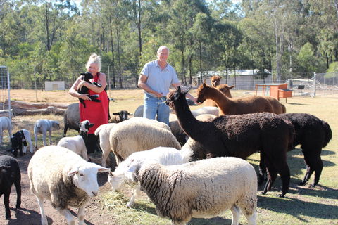 Haigslea EWE Nique Hobby Farm - Accommodation VIC 0