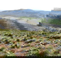 Horseshoe Rim 4WD Adventure Track - Accommodation VIC