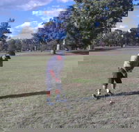 Inverell Golf Club - Accommodation VIC