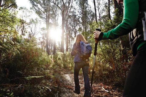 Kinglake National Park - Accommodation VIC 0