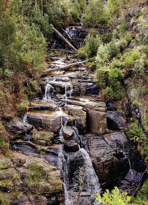 Kinglake National Park - Accommodation VIC 1
