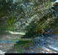 Lillypilly loop trail - Accommodation VIC