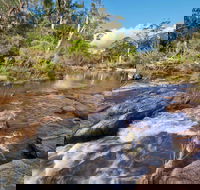 Little Dandahra Creek Walking Track - Accommodation VIC