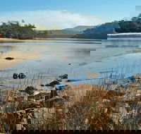 Merrica River Nature Trail - Accommodation VIC