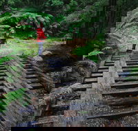 Montezuma Falls - Accommodation VIC