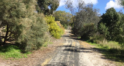 Naracoorte North Nature Park - Accommodation VIC 0