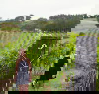 Naturally Luxurious - Great Beach Drive - Accommodation VIC