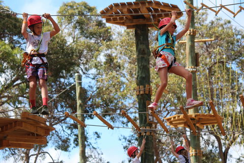 Next Level Monkey Business - Accommodation VIC 0