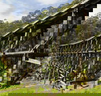 Noojee Trestle Bridge - Accommodation VIC