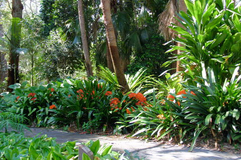 North Coast Regional Botanic Garden - Accommodation VIC 1