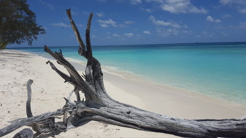 North West Island - Accommodation VIC 0