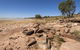 Peery Lake Picnic Area - thumb 0