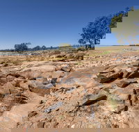 Peery Lake picnic area - Accommodation VIC