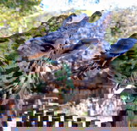 Perth Zoo - Accommodation VIC