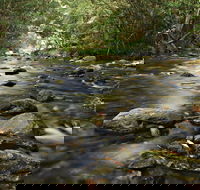 Plateau Circuit Loop Trail - Accommodation VIC