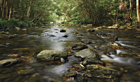 Plateau Circuit Loop Trail - Accommodation VIC 0