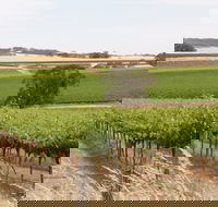 Smidge Wines Tasting Room - Accommodation VIC