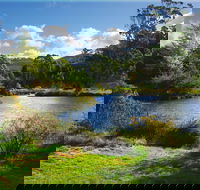 Tasmanian Arboretum Inc. - The - Accommodation VIC